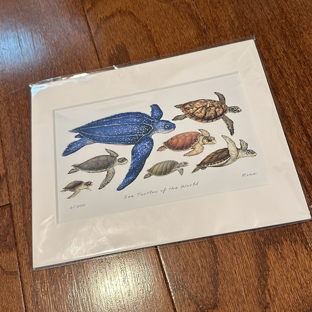 Nina Gentile Matted Giclee SEA TURTLES OF THE WORLD 8x10 and Gen Sherman photo - Picture 2 of 7
